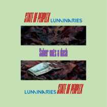 State of Perplex / Luminaries [Double A-Sided Digital Single]
